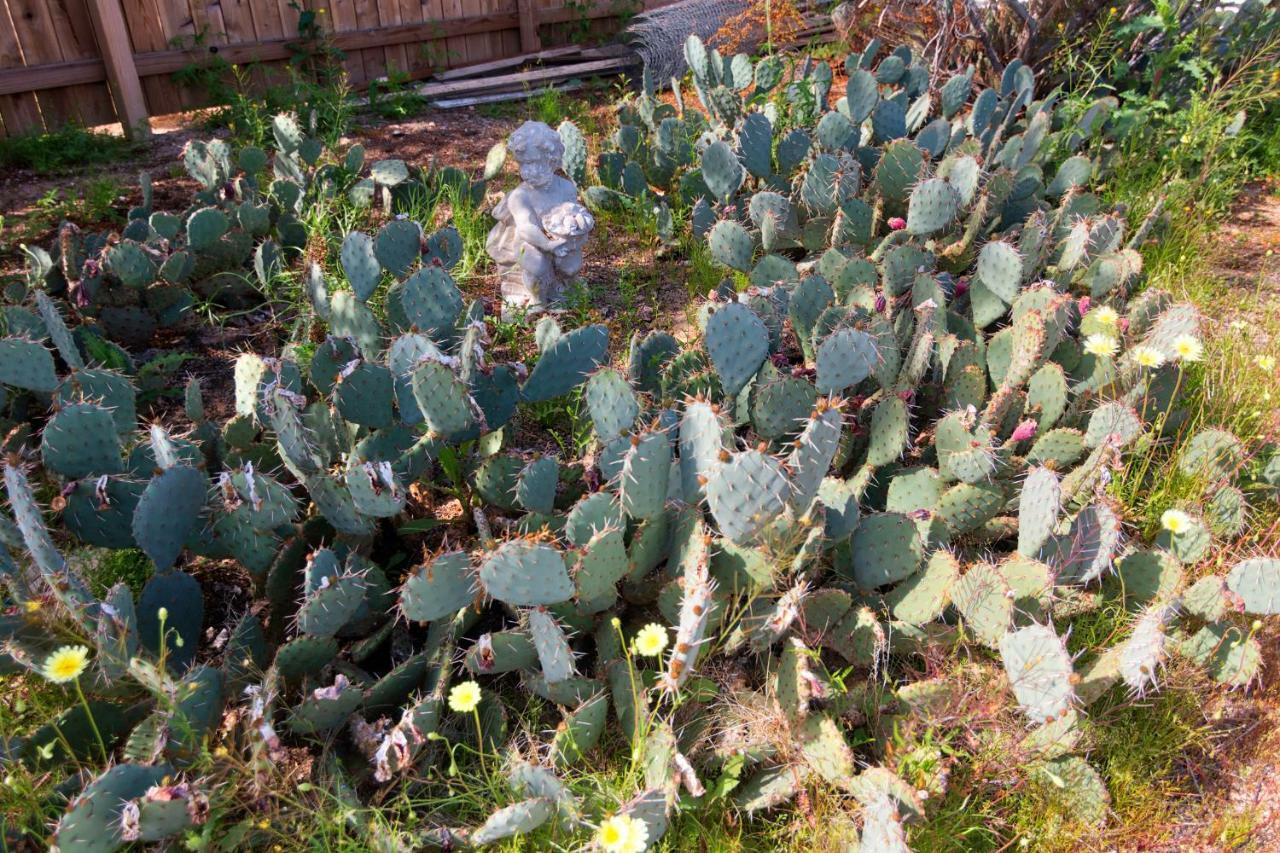 Cactus Adobe Villa Twentynine Palms Luaran gambar